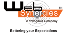 Web Synergies Logo